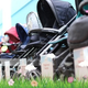 Illustration for article titled Low-priced Strollers - 5 Important Things to think about